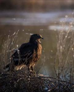 PHOTO-2021-02-02-10-01-53