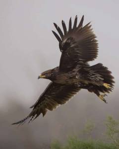 PHOTO-2021-02-02-10-01-13