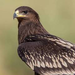 PHOTO-2021-02-02-09-33-43