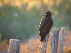 PHOTO-2021-02-02-09-42-58