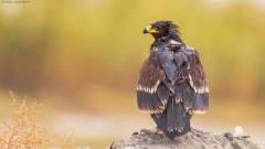 PHOTO-2021-02-02-09-30-49 5