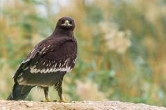 PHOTO-2021-02-02-09-41-15